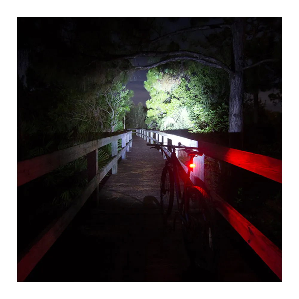 Lumintrail Rear Bike Light Bright Red LED Taillight 2 Light Modes for All Bikes Easy To Install