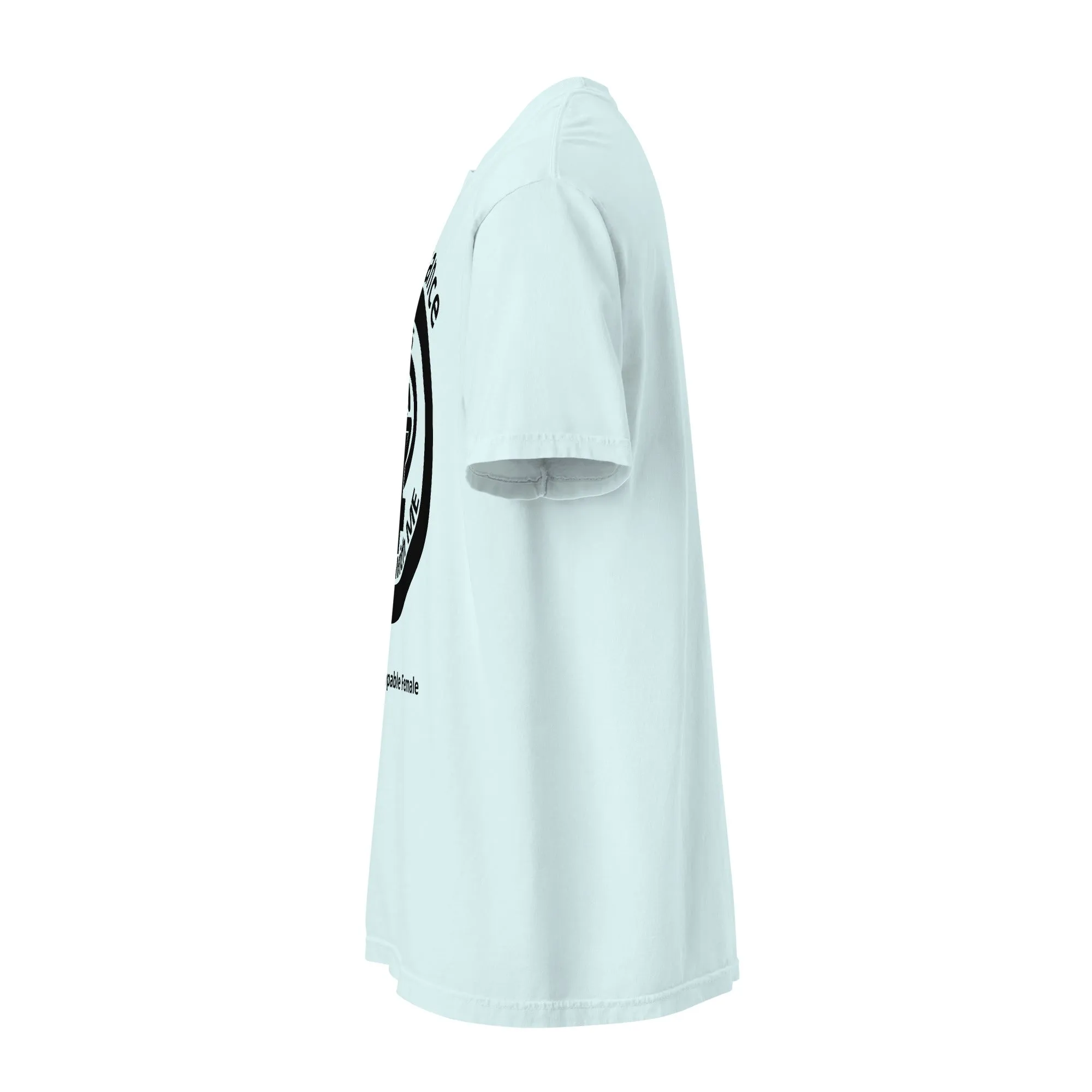 Unisex garment-dyed heavyweight t-shirt