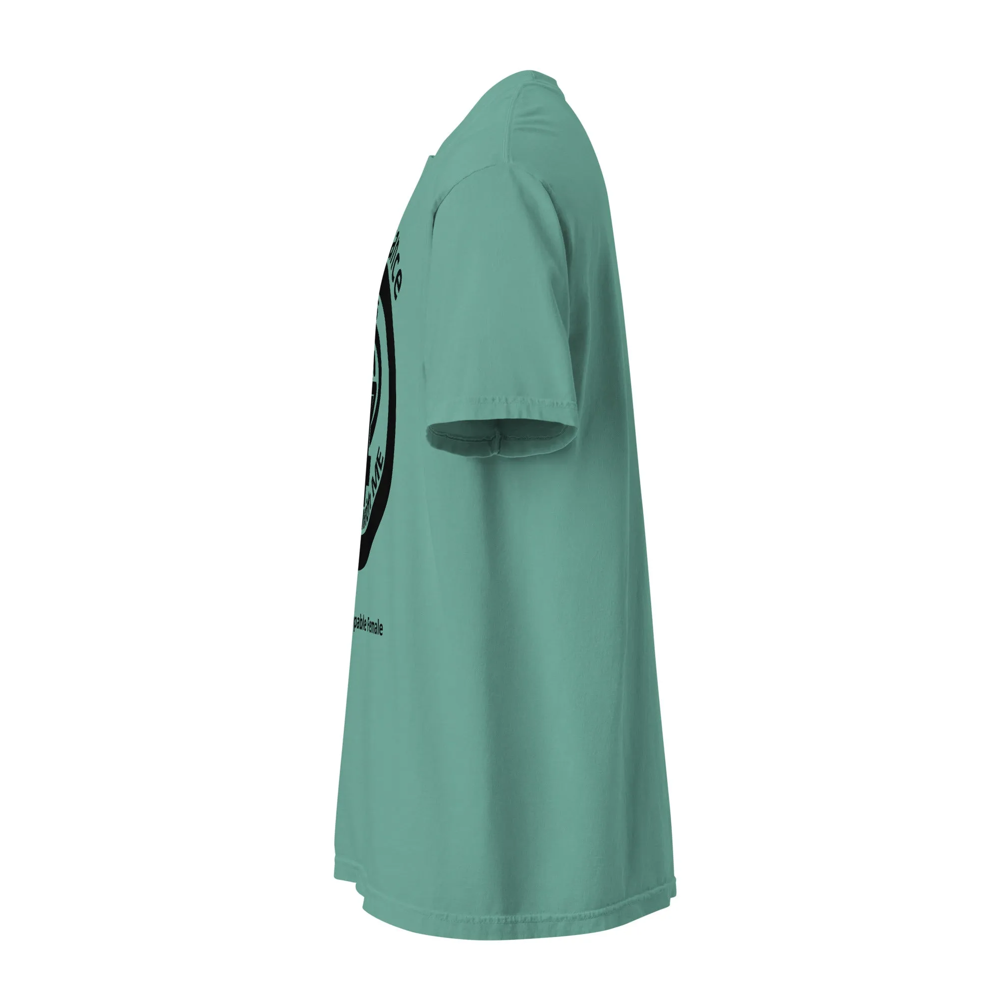 Unisex garment-dyed heavyweight t-shirt